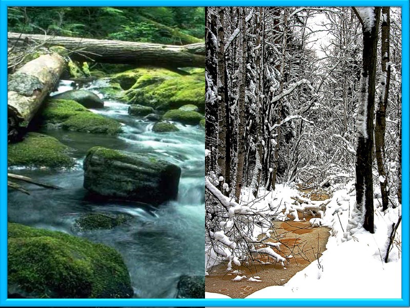 Актуалізація опорних знань учнів Що таке джерело? Джерело́ — природний вихід на земну поверхню